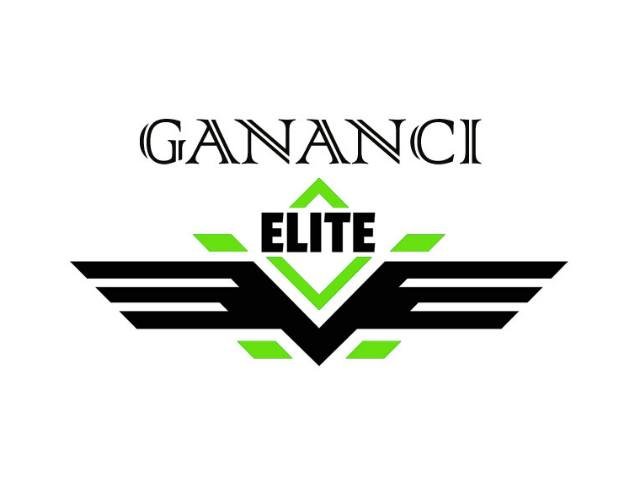 Gain Elite works