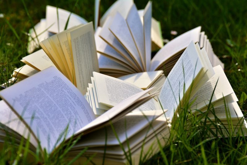 7 excellent books to start a business in 2018.